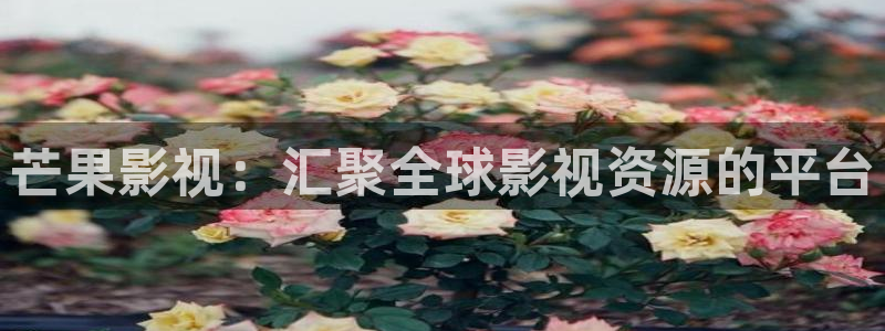 酷客影院2024：芒果影视：汇聚全球影视资源的平台
