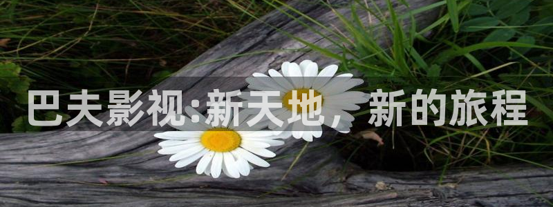 酷客影院伦理：巴夫影视:新天地，新的旅程