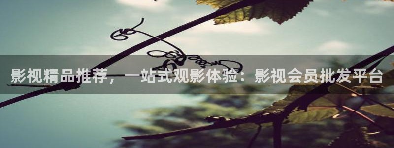 酷客影院伦理