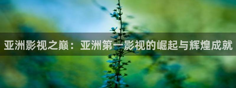 酷客影院在线观看免费完整版