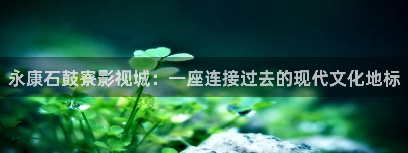 手机酷客影院在线