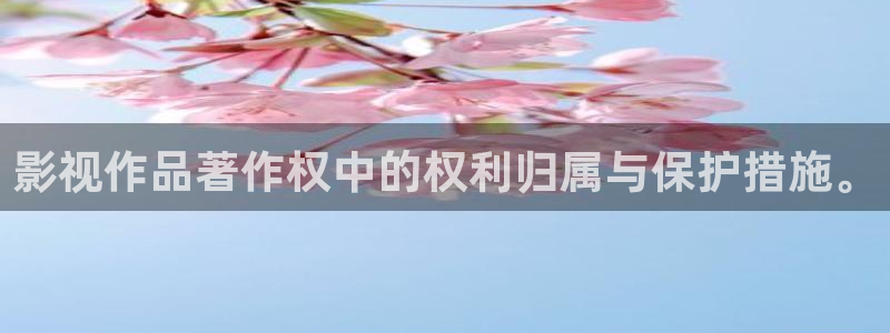 酷客手机在线影院：影视作品著作权中的权利归属与保护措施。
