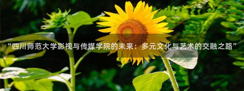 酷客影院在线观看免费全集